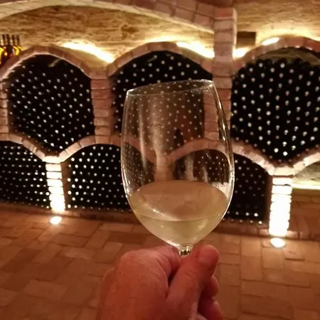 A Vinny Sklipek U Kozliku * Dolni Dunajovice