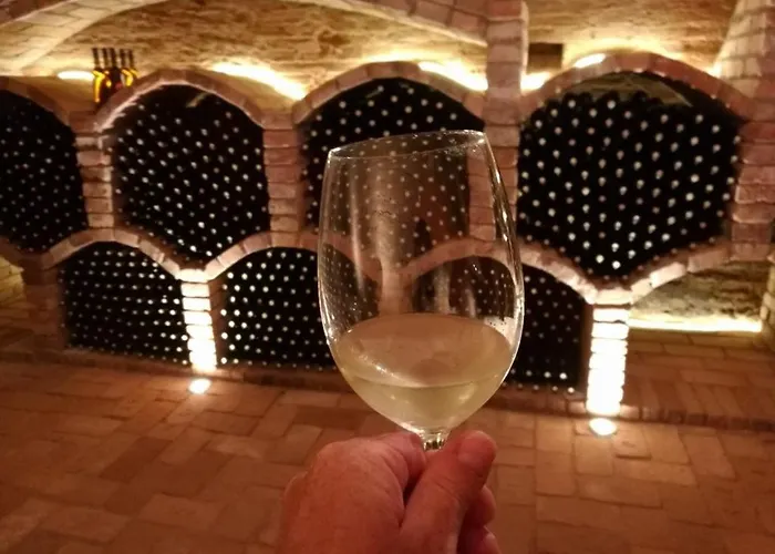 A Vinný Sklípek U Kozlíků * Dolní Dunajovice