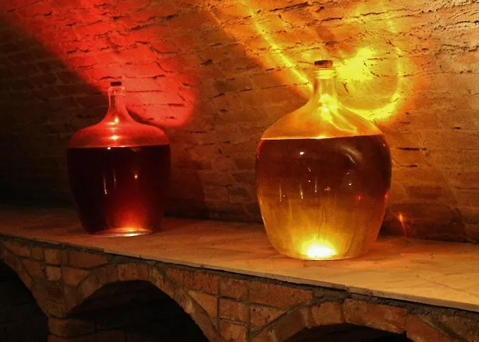 Penzion A Vinný Sklípek U Kozlíků Dolní Dunajovice