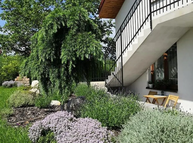 A Vinný Sklípek U Kozlíků Penzion